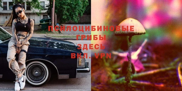 амф Алексеевка