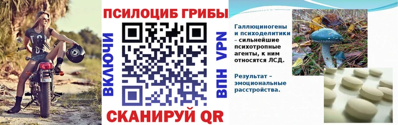 Галлюциногенные грибы Psilocybe  mega ССЫЛКА  Долинск 